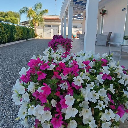 Blu D'Amare B&B Porto Cesareo Ngoại thất bức ảnh