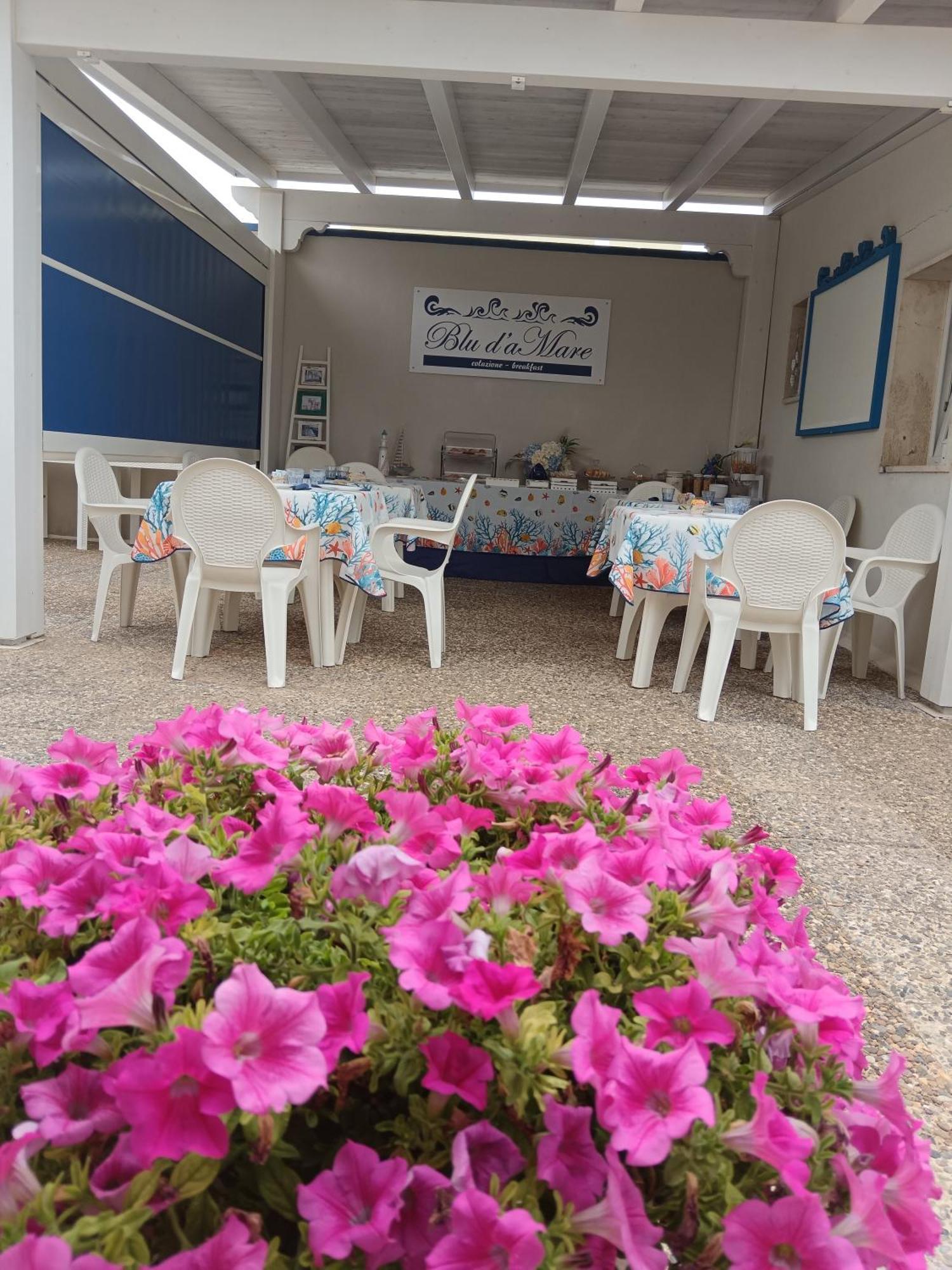 Blu D'Amare B&B Porto Cesareo Ngoại thất bức ảnh