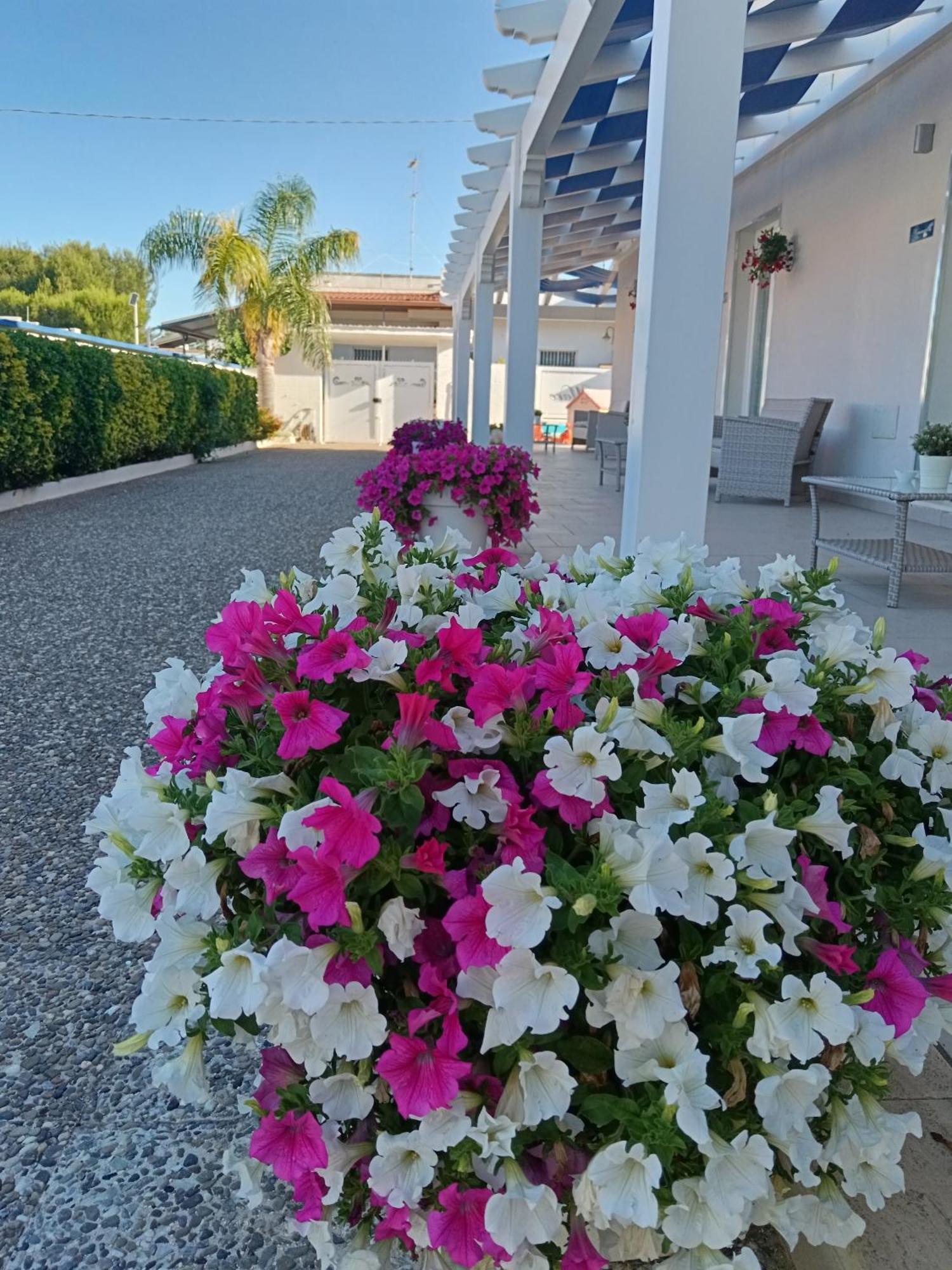Blu D'Amare B&B Porto Cesareo Ngoại thất bức ảnh